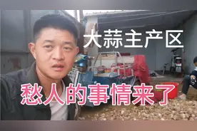 大蒜主产区山东金乡，到底是什么原因？为何蒜农疯狂往家抢大蒜！