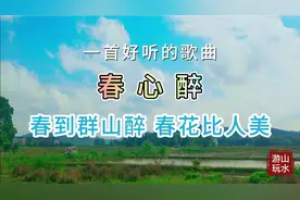 非常好听的歌曲《春心醉》春到群山醉，春花比人美，好美的意境