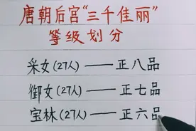 唐朝后宫“三千佳丽”的等级划分，你知道吗？看到涨知识了