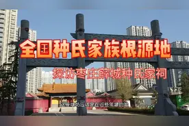 “种”字在姓氏里怎么读大家知道吗？探访山东枣庄薛城种氏家祠视频封面