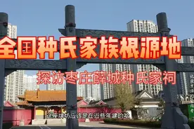 “种”字在姓氏里怎么读大家知道吗？探访山东枣庄薛城种氏家祠视频封面