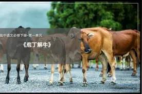 部编版高中语文必修下第一单元《庖丁解牛》课件有偿含相关视频视频封面