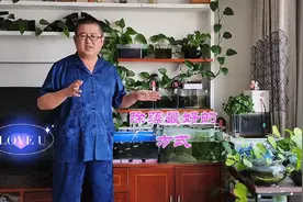 30年的养鱼经验告诉你，工具螺除藻都是扯淡，最简单的方式最有效视频封面