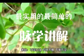 实用简单的脉学讲解视频封面