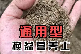 养花的朋友终于不用选土而犯愁啦，这种通用型营养土真是太好用了视频封面