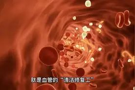 肽对血管的重大作用视频封面
