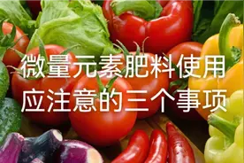 你会正确使用微量元素肥料吗？我来告诉你怎么操作……视频封面