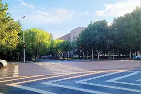 司机突然鸣笛致老人倒地伤亡，赔偿责任如何承担？#青岛律师城阳视频封面