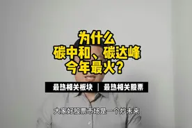 为什么碳中和、碳达峰今年最火？视频封面
