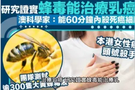 研究證實蜂毒能治療乳癌
澳科學家:能60分鐘內殺死癌細胞视频封面