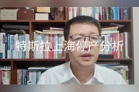 热点微观察，特斯拉上海工厂停产，怎么看？视频封面
