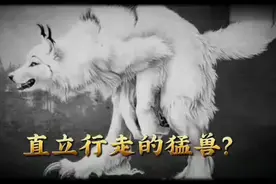 都市传说1 狼人视频封面