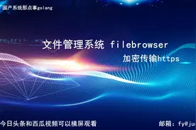 【UOS国产操作系统】文件管理系统filebrowser学习之五，加密传输