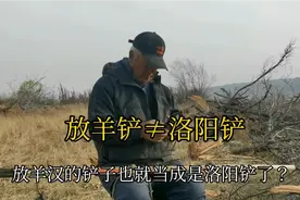 放羊铲是洛阳铲？放羊大爷讲出区别来，不是一回事儿视频封面
