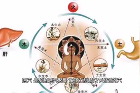 六腑原气所汇聚的六个穴位视频封面