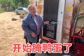 婆婆马不停蹄去拉鸭蛋，个头大到似小鹅蛋，洗洗腌上俩人一天搞定视频封面