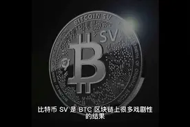 什么是比特币SV（BSV）?