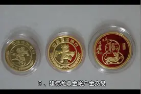 纸黄金投资指南  建行龙鼎金账户金交易视频封面