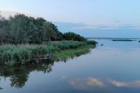 纯音乐欣赏《万泉河水》视频封面