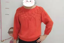 从上往下编织育克领叶子花的详细教程——袖子视频封面