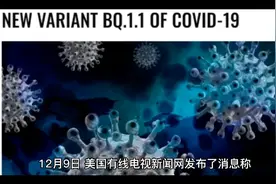 地狱犬肆虐美国，我们该如何应对？视频封面