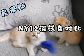 12色金渐层也有深浅之分，对比来看看效果