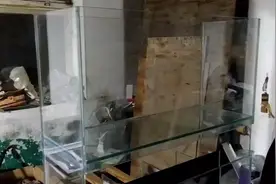 冬天了，在屋里粘个上下两层的鱼缸，看看这个效果视频封面