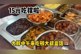 沈阳三好街这家开18年的快餐，15元四荤四素家常口味，大胖吃撑啦视频封面