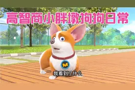 高智商小胖墩狗狗的日常趣事，单身狗的生活视频封面