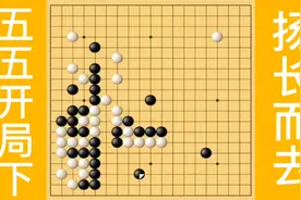 棋理复盘讲解，五五布局下，扬长而去。视频封面