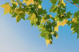 兰州市部分高中录取线视频封面