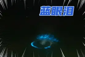 湛江又火了，惊现的＂蓝眼泪＂刷屏了，渔港公园围观的人人山人海视频封面