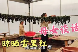 挖的野生雪里红开水煮过，拿楼上晒干储存，母女间的对话值得深思视频封面