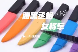 腹黑丞相与草根将军视频封面