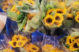 美好的事和物要懂得分享和欣赏！