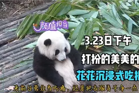3.23日下午，花花精心打扮一翻，开启沉浸式吃播，又萌又可爱！视频封面