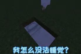 我的世界:今天教你们怎么睡觉(新手教学+多此亿举系列)