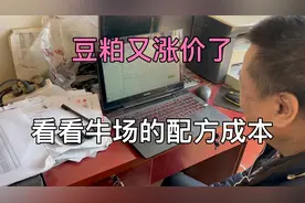 豆粕又涨价了，看看我们牛场的都给牛吃啥，一天一头牛80元成本视频封面