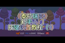 【泰拉瑞亚】新手按键设置教程 这几个设置让你的操作堪比大神！