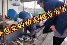 东北的冬天这是要烧多少东西，囤了煤又囤柴，这样的东北你喜欢么视频封面