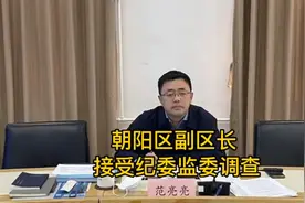 万叔记录生活，北京朝阳区副区长和延庆区政协副主席陈桂芬被查视频封面