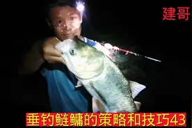 夏季夜钓鲢鳙究竟选择前半夜还是选择后半夜？看完视频你就明白了视频封面