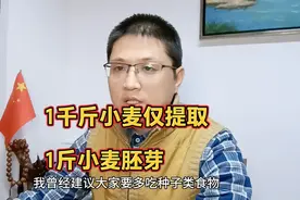 多吃种子类食物，他们是植物的精华！——之小麦胚芽视频封面
