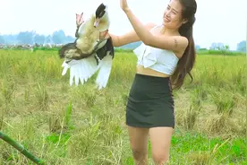 抓鸭子，抓几只！今天田里在抓到自家鸭子，口水止不住的流视频封面
