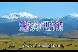 中国省级自治区之西藏视频封面