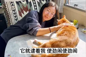 服务区趣事多，俩女生带着俩猫房车旅居，挖野菜煮汤的美好一天视频封面