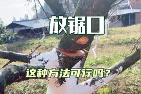 乱树更改树形的时候可以采取这种方法，不会大树变小树，效果还好视频封面