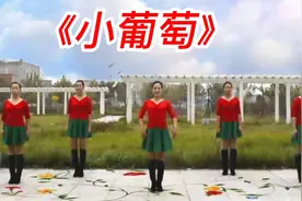 广场舞教学《小葡萄》舞姿优美，简单易学视频封面