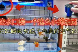 上滤缸出水口装一个小小的东西，瞬间你的缸就会变成空气缸视频封面