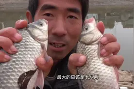 这是一个神奇钓点:一天可以钓10斤大板鲫，退水后大鲫依然连杆。视频封面